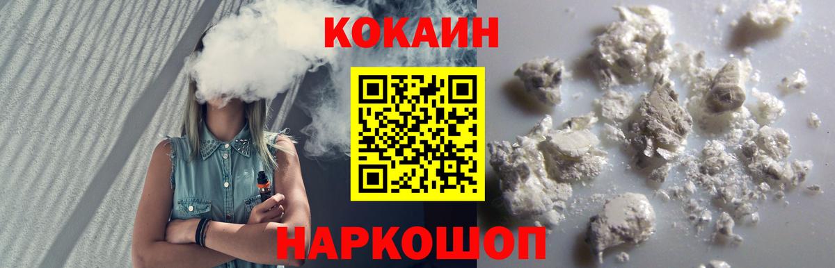 Камышлов  продажа наркотиков  Вход с VPN  Cocaine FishScale 