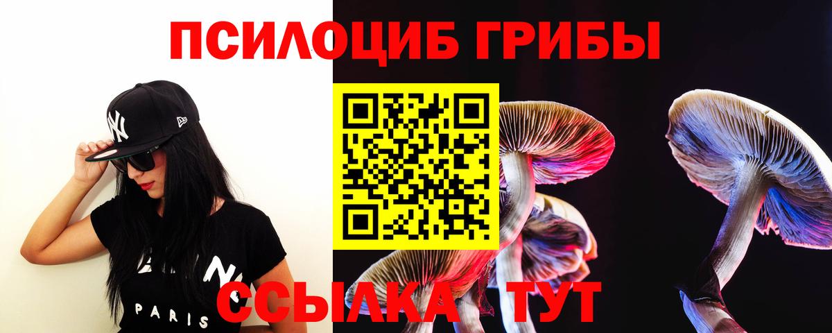 Галлюциногенные грибы мухоморы  Вход с VPN  Камышлов 