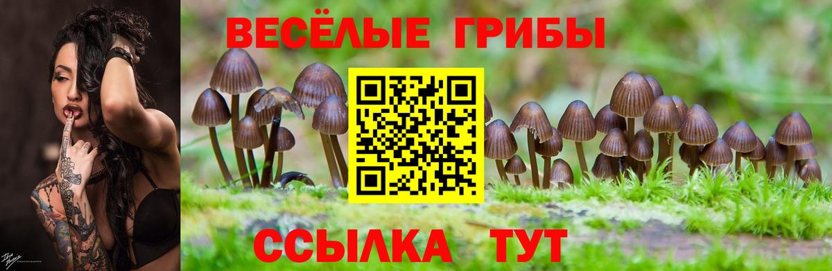 Галлюциногенные грибы MAGIC MUSHROOMS Камышлов